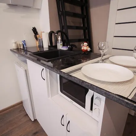 Rent 1 Apartman Lviv