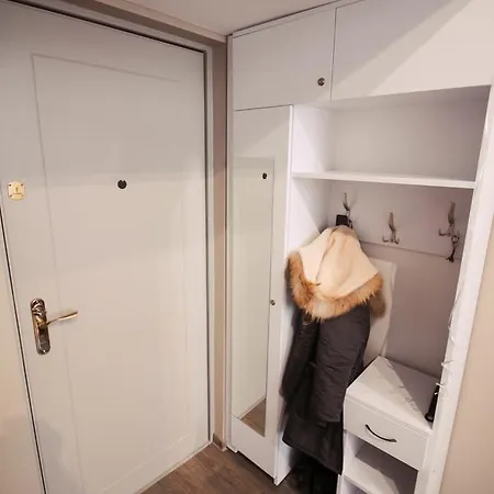 Rent 1 Lejlighed Lviv